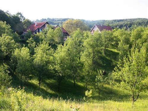 & Sobe Orhideja * Smoljanac